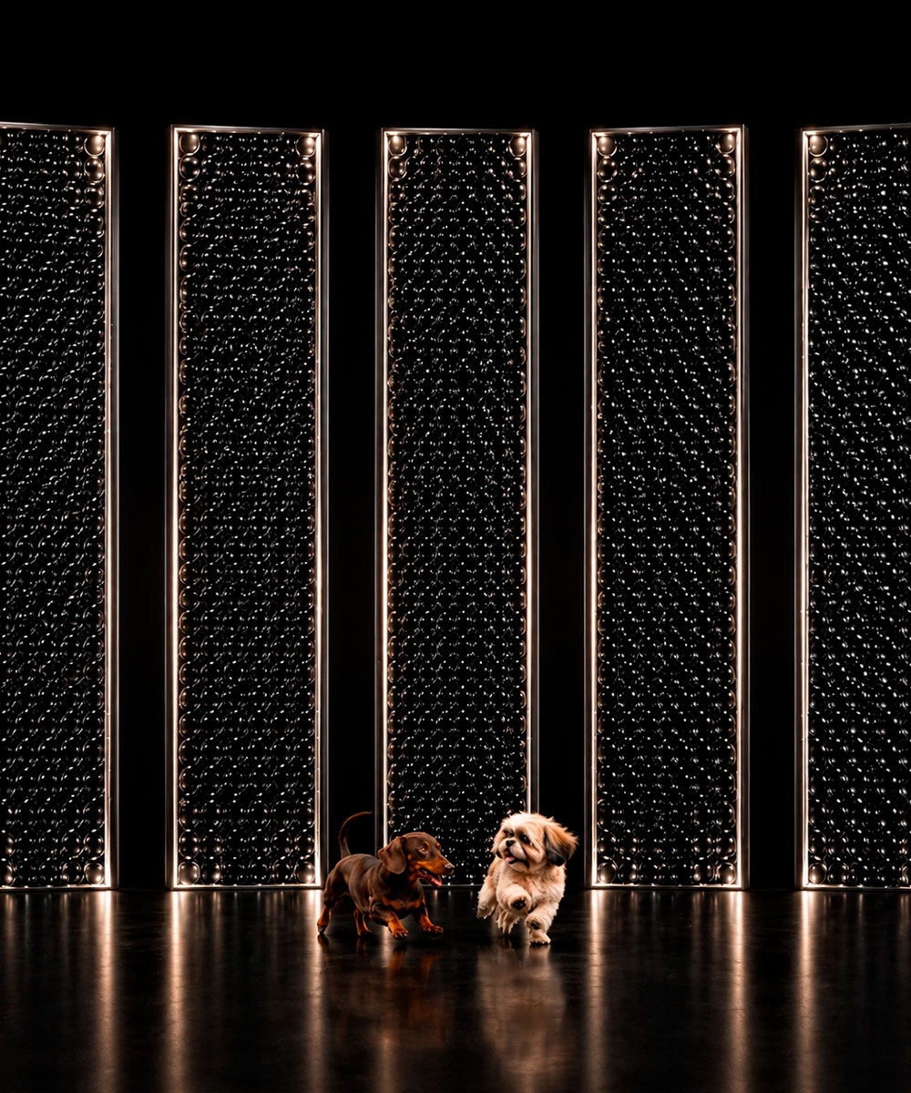 Light Pieces - Screen - Imagen 2